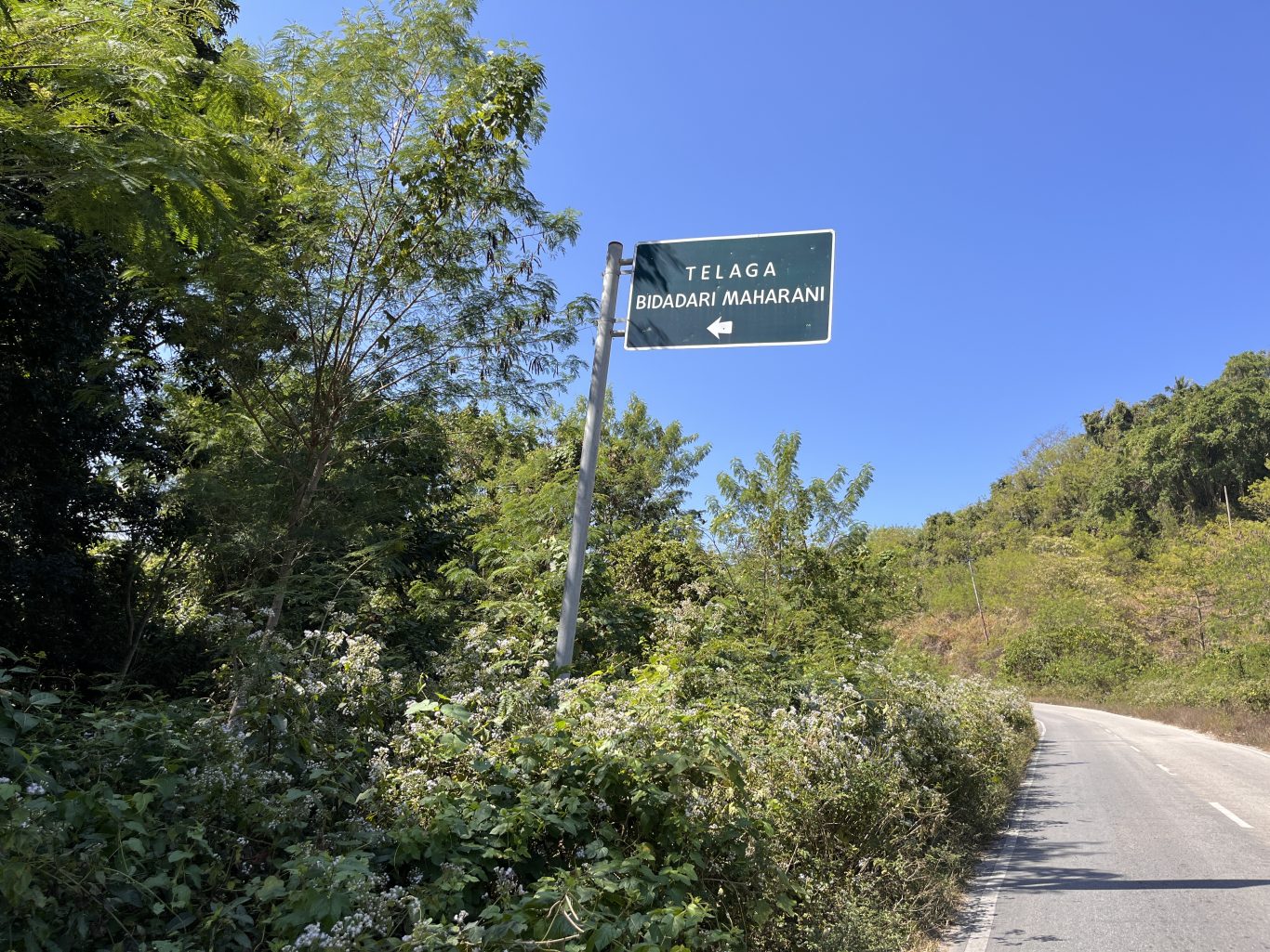 A dark green road sign with white text "TELAGA BIDADARI MAHARANI" and a left arrow stands amidst dense green foliage under a clear blue sky, next to a paved road.