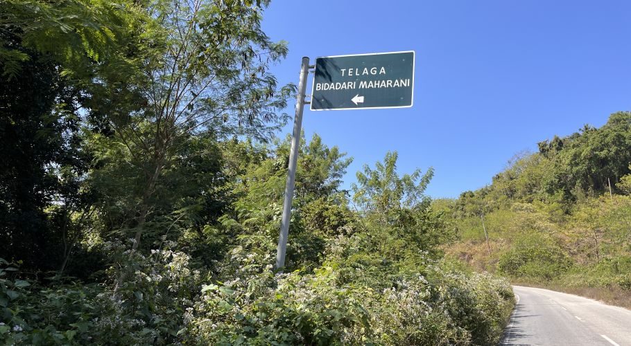 A dark green road sign with white text "TELAGA BIDADARI MAHARANI" and a left arrow stands amidst dense green foliage under a clear blue sky, next to a paved road.