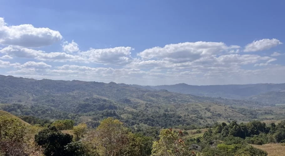 A wide landscape view shows rolling green and brown hills covered in dense trees under a bright blue sky with scattered white clouds.
