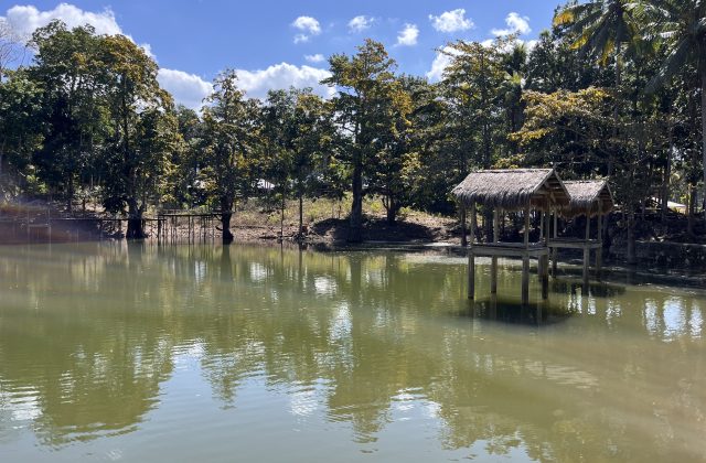 A serene green lake in Sumba is surrounded by lush trees under a blue sky, featuring two thatched gazebos on stilts over the water.