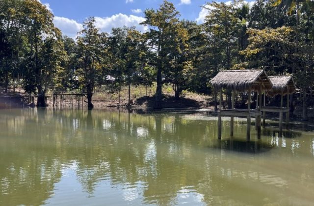 A serene green lake in Sumba is surrounded by lush trees under a blue sky, featuring two thatched gazebos on stilts over the water.