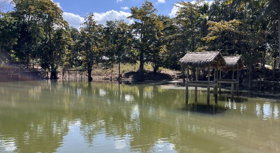 A serene green lake in Sumba is surrounded by lush trees under a blue sky, featuring two thatched gazebos on stilts over the water.