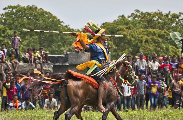 A Sumbanese man on a brown horse, adorned in colorful traditional attire, holds a wooden spear high, with a crowd and green trees.