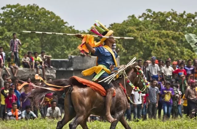 A Sumbanese man on a brown horse, adorned in colorful traditional attire, holds a wooden spear high, with a crowd and green trees.