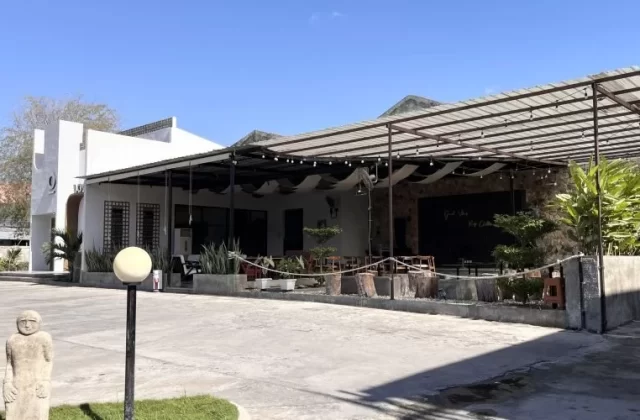 The modern white exterior of Local Tree Cafe & Eatery features an industrial-style outdoor seating area under a metal canopy on a sunny day.