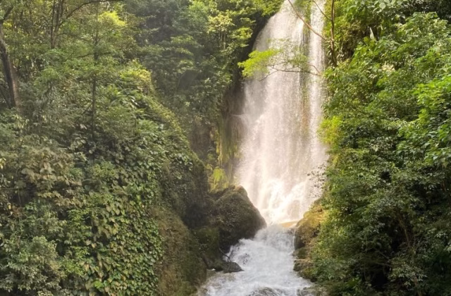 Lokomboro Waterfall plunges from a height, surrounded by dense green jungle foliage and mossy rocks, with water cascading into a pool.