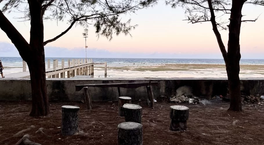 A beach scene at Londa Lima features a long wooden pier extending into the calm blue ocean under a pastel sky, framed by two dark trees and log seating in the foreground.