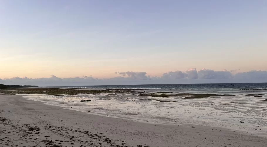 A wide, tranquil white sand beach at low tide, revealing dark patches of exposed seabed, meets a calm blue ocean under a pastel sky with scattered clouds.