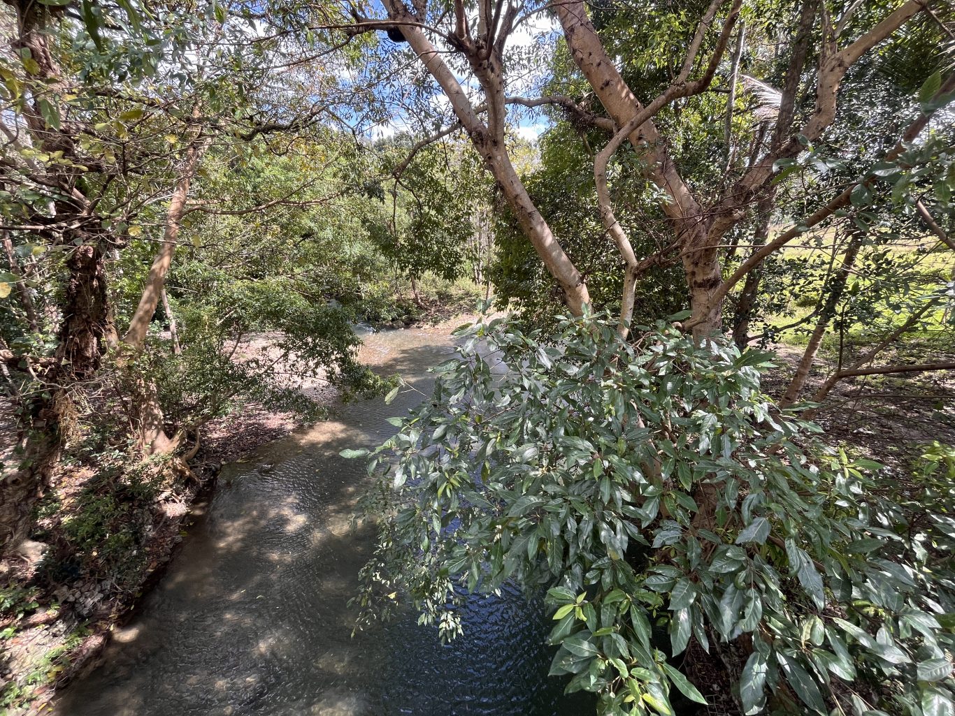 The Luku Kopaku River flows through a dense, sun-dappled green forest in Sumba, with clear water visible from an elevated perspective.