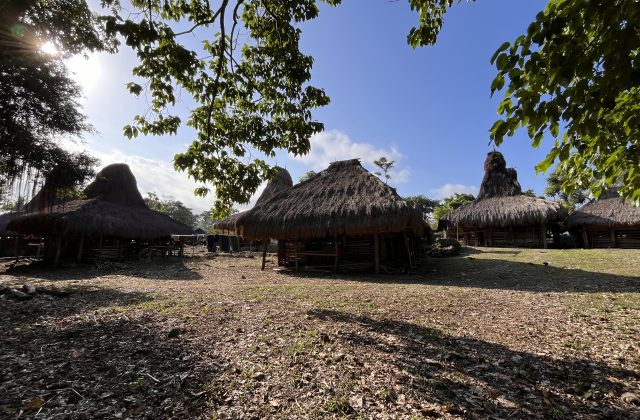 Traditional Sumba houses with tall, conical thatched roofs stand in Malisu Village under a bright blue sky, framed by green trees.