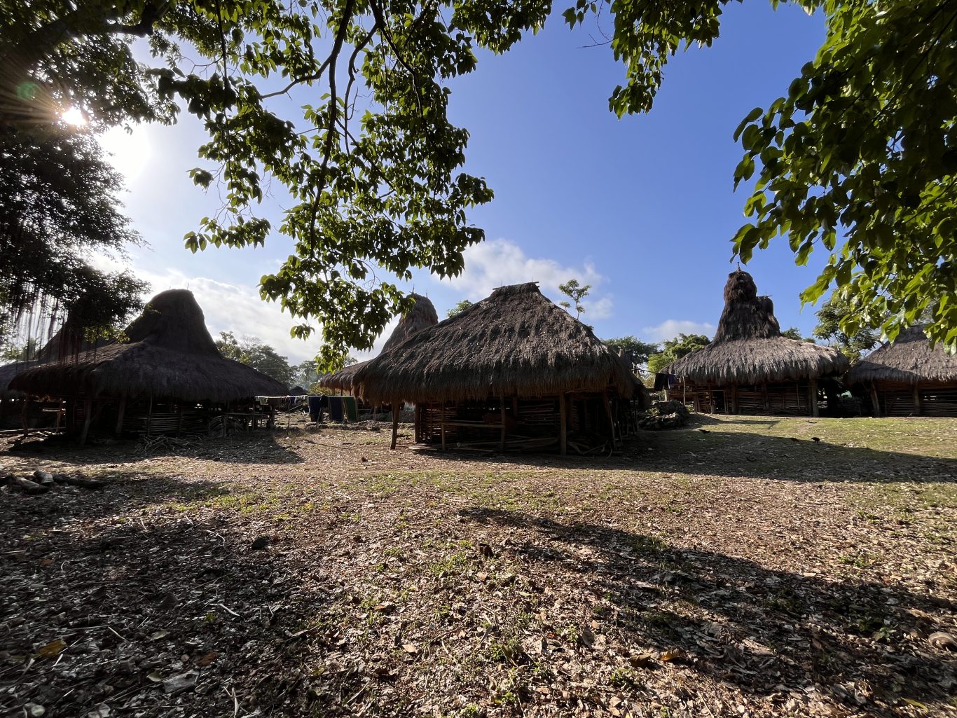 Traditional Sumba houses with tall, conical thatched roofs stand in Malisu Village under a bright blue sky, framed by green trees.