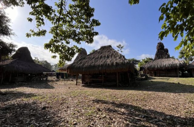 Traditional Sumba houses with tall, conical thatched roofs stand in Malisu Village under a bright blue sky, framed by green trees.