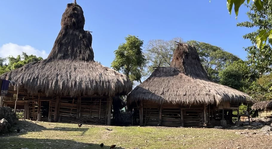 Two traditional Sumba houses with tall, conical thatched roofs and wooden structures stand on a sunny, grassy clearing under a clear blue sky.