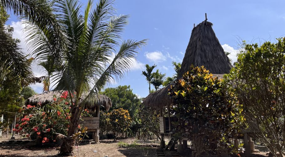 Two traditional Sumbanese-style huts with tall thatched roofs are nestled among vibrant green and reddish-orange foliage under a bright blue sky.