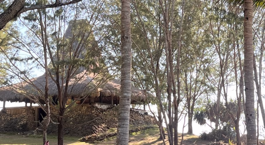 A traditional Sumba shelter with a tall, pointed thatched roof and stone base is partially visible behind numerous slender trees and palm trunks under a bright sky.