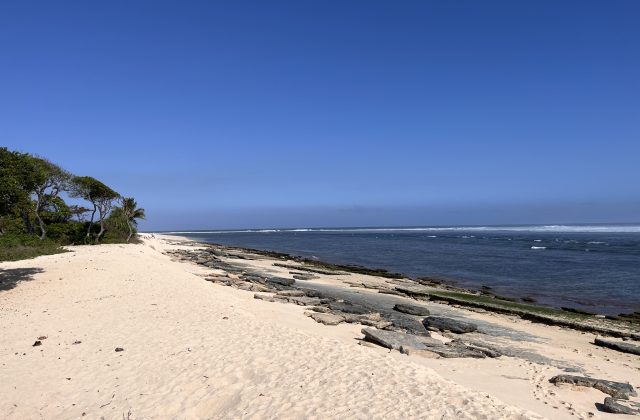 A wide white sand beach stretches along a deep blue ocean with distant breaking waves under a clear blue sky, bordered by green trees and dark coral formations.