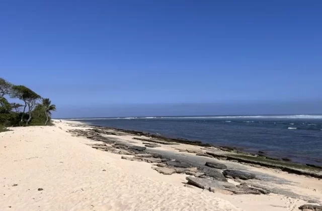 A wide white sand beach stretches along a deep blue ocean with distant breaking waves under a clear blue sky, bordered by green trees and dark coral formations.
