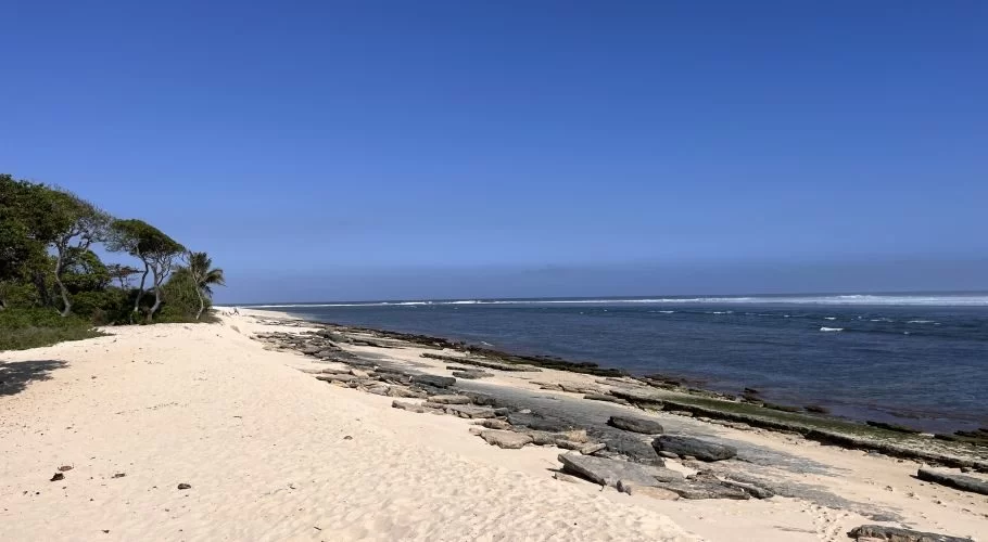 A wide white sand beach stretches along a deep blue ocean with distant breaking waves under a clear blue sky, bordered by green trees and dark coral formations.