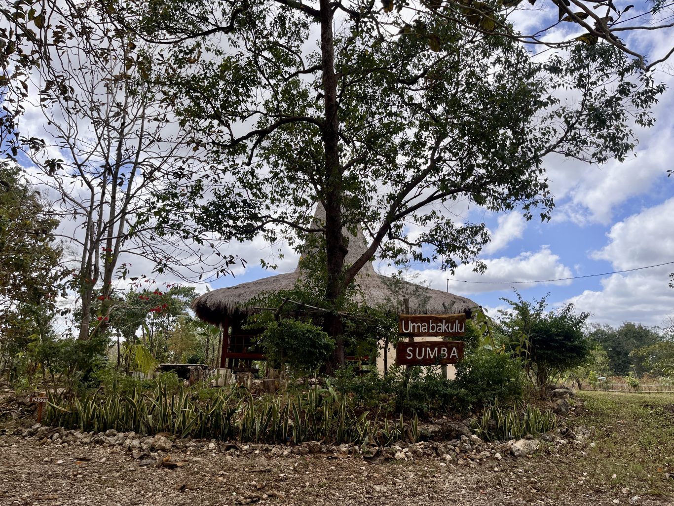 A traditional Sumba building with a thatched roof is behind a tree. A sign reads "Umabakulu SUMBA" amidst green plants under a cloudy sky.