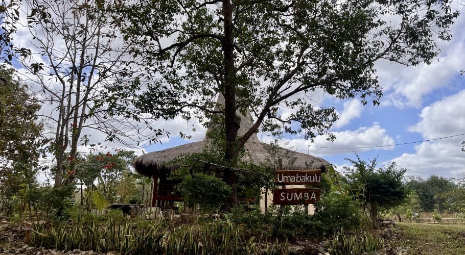 A traditional Sumba building with a thatched roof is behind a tree. A sign reads "Umabakulu SUMBA" amidst green plants under a cloudy sky.