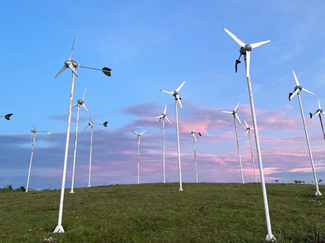 Many small, white wind turbines stand on a green grassy hilltop against a blue sky with soft pink and purple clouds.