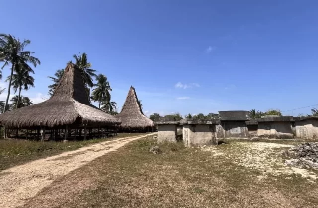 Two traditional Sumba houses with tall thatched roofs stand beside a dirt path, leading past large stone graves under a clear blue sky.