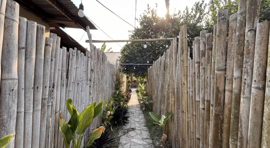 A narrow stone pathway is bordered by tall, light brown bamboo fences and green plants, leading towards a bright opening with trees and string lights overhead.