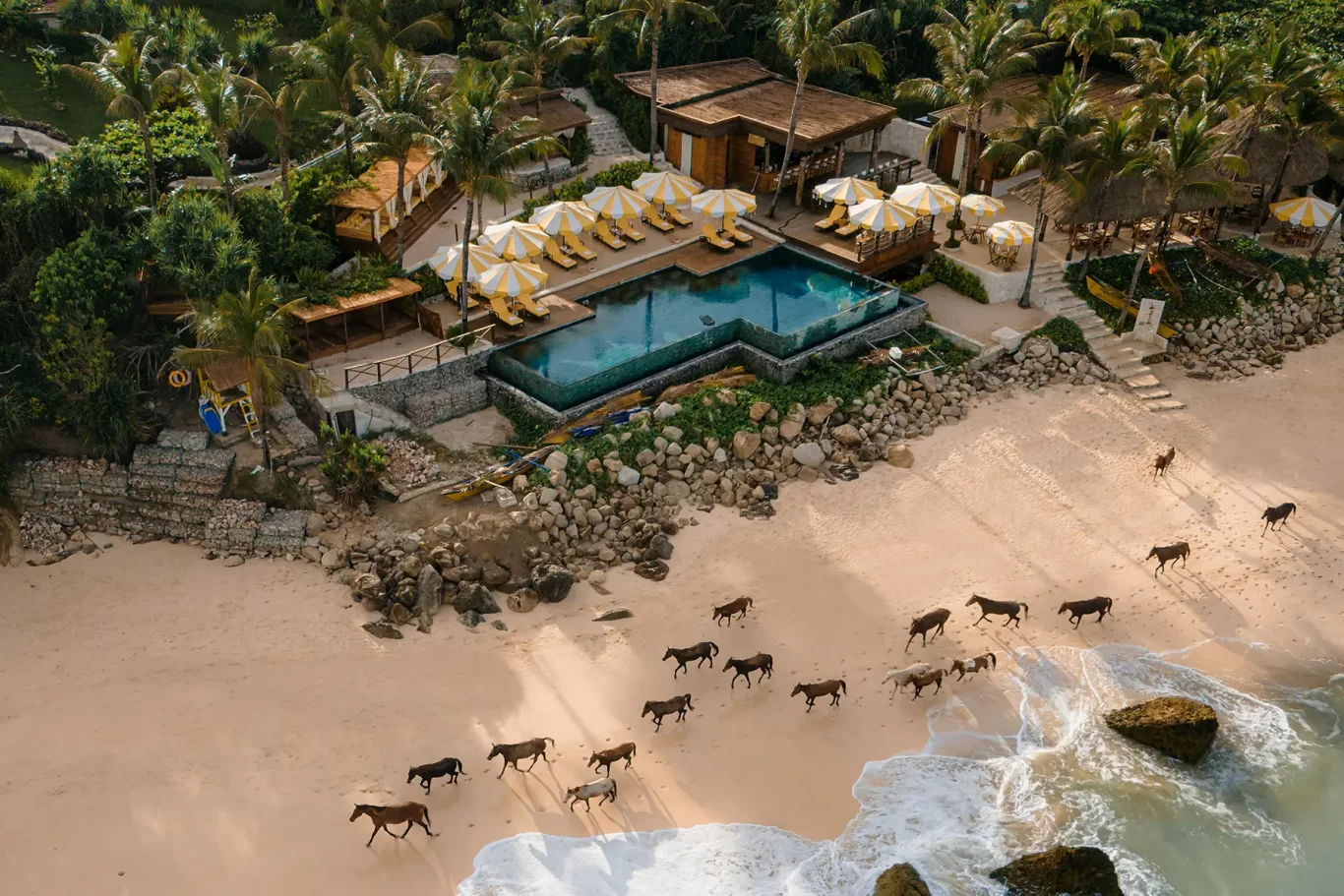 Brown horses walk along a golden beach beside the NIHI Sumba resort, featuring a blue pool, yellow umbrellas, and green palm trees.