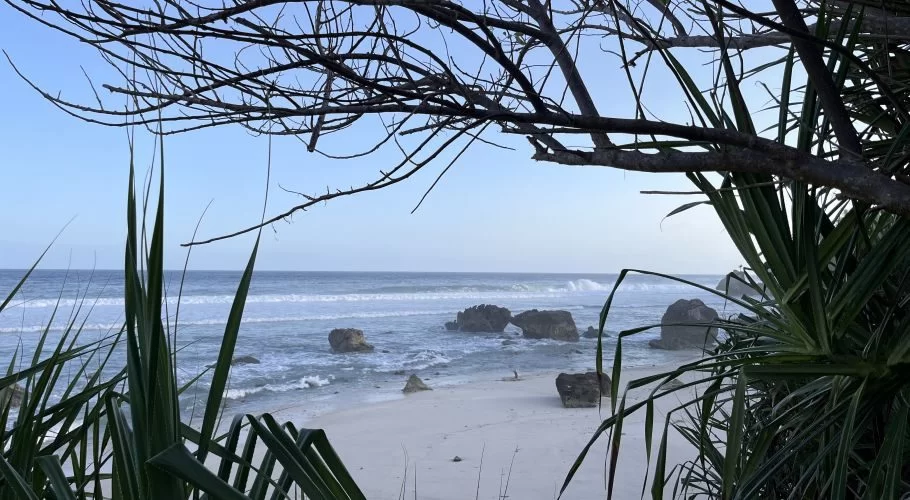 A white sand beach with dark rocks and crashing waves is framed by dark tree branches and green plants under a light blue sky.