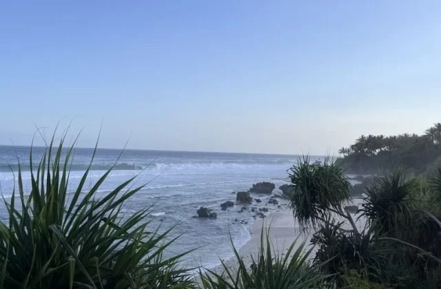 Nihioka Spa Safari