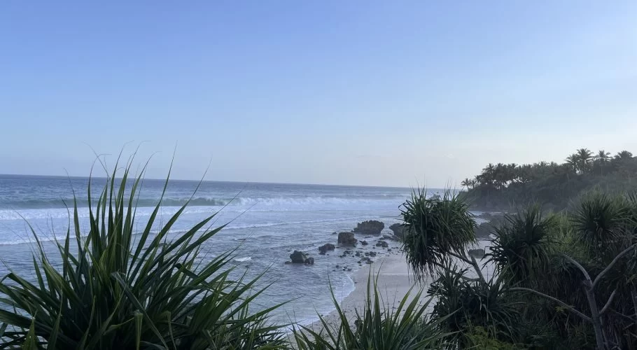 Ocean waves break on a rocky, sandy beach, with lush green tropical plants in the foreground and a distant cliff with palm trees under a blue sky.