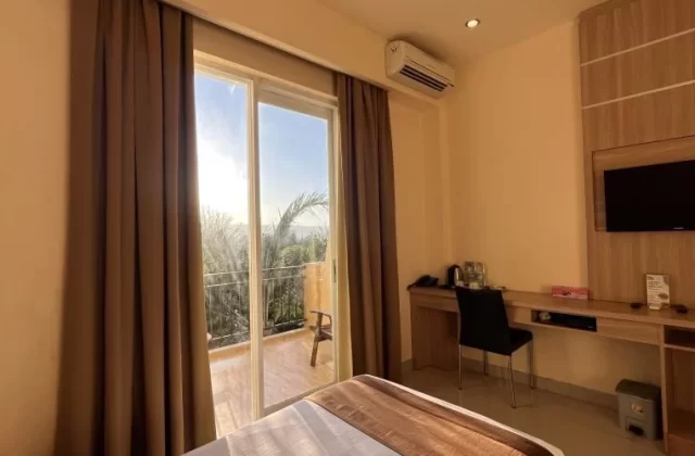 A modern guest room at Padadita Beach Hotel features a bed, desk, wall-mounted TV, and sliding glass doors to a balcony overlooking palm trees under a bright sky.