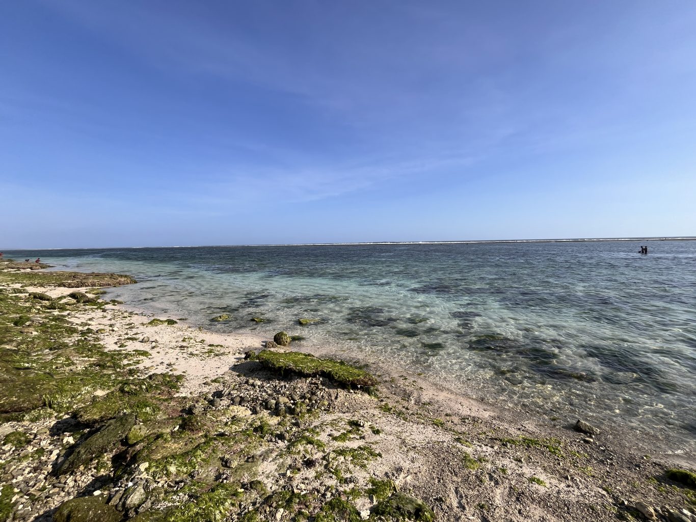 Calm, clear turquoise ocean meets a sandy shore with green seaweed and coral under a blue sky; two people collect seaweed in the distance.