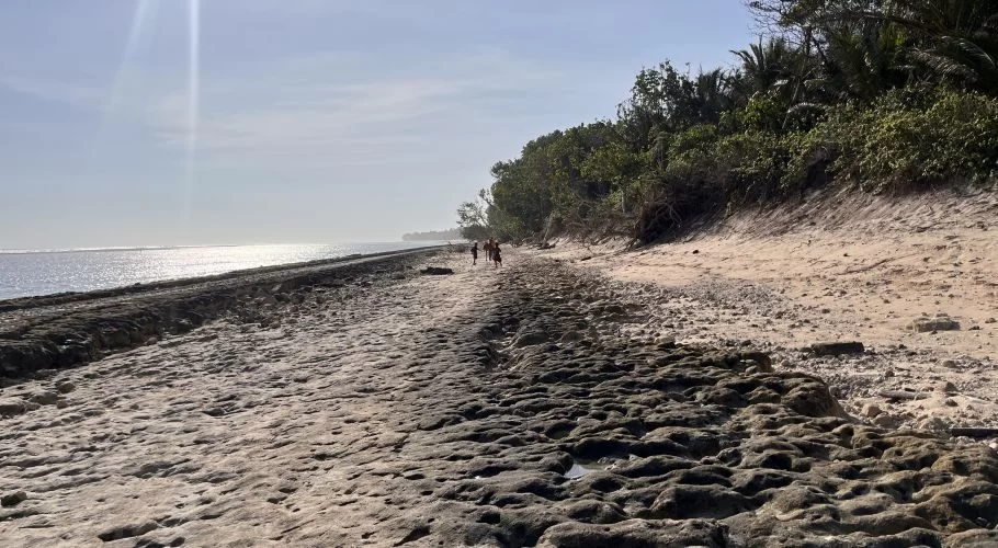 Sunny Pakare Beach features calm, clear water, a wide expanse of dark coral formations, light sand, and dense green trees. Locals walk in the distance.