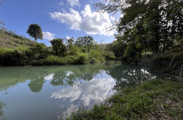 A calm, greenish-blue river flows between lush green banks under a bright blue sky with white clouds, which are reflected in the water.