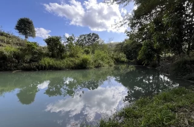 A calm, greenish-blue river flows between lush green banks under a bright blue sky with white clouds, which are reflected in the water.