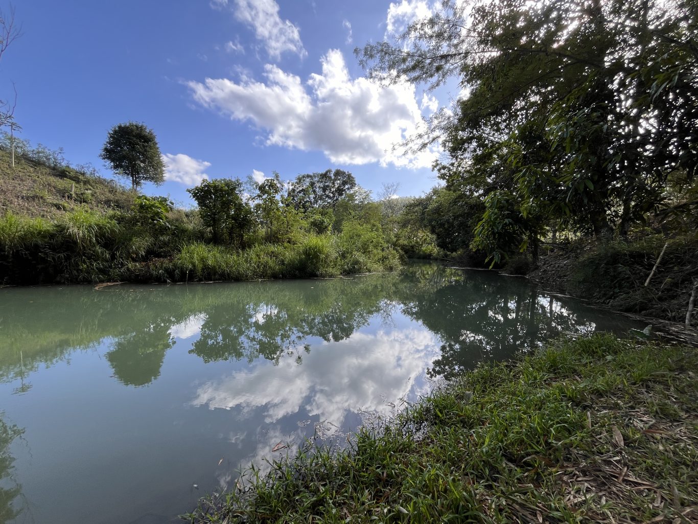 A calm, greenish-blue river flows between lush green banks under a bright blue sky with white clouds, which are reflected in the water.