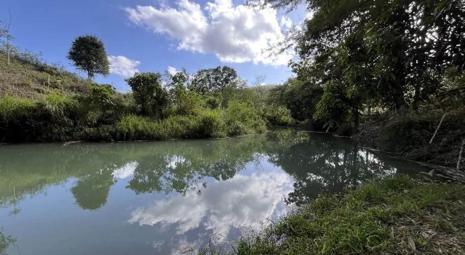A calm, greenish-blue river flows between lush green banks under a bright blue sky with white clouds, which are reflected in the water.