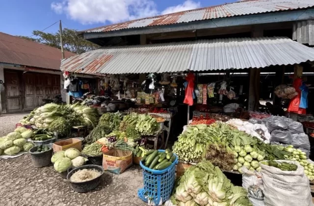 Piles of fresh green vegetables and red tomatoes are displayed at a bustling traditional market stall with a corrugated metal roof under a blue sky.
