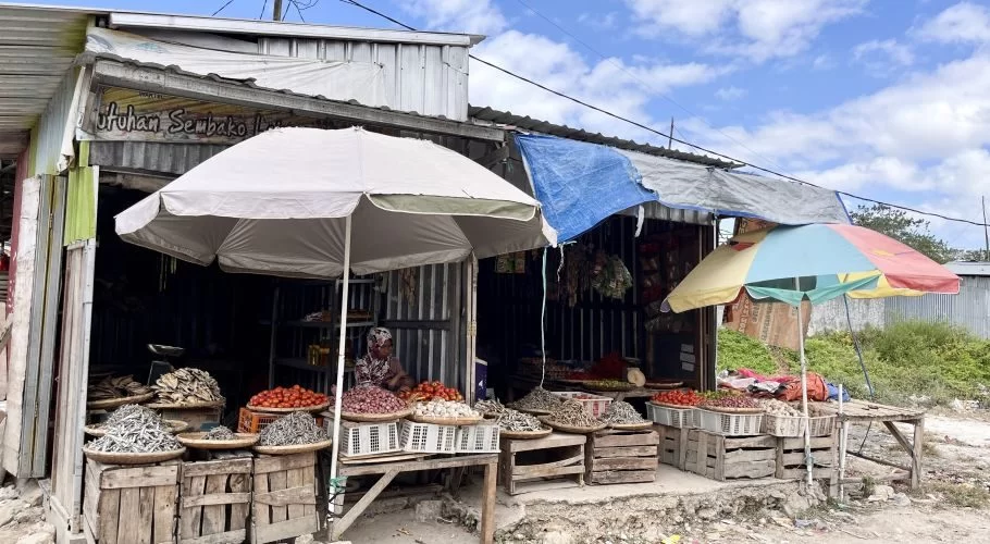 A vendor sits behind a market stall displaying dried fish, red tomatoes, and onions under two umbrellas, with a blue sky overhead.