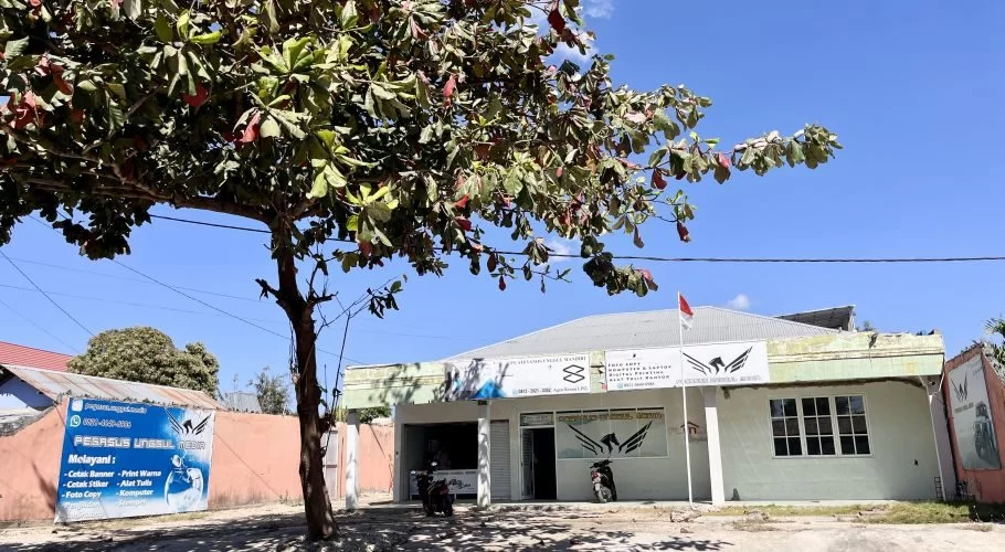 A light-colored building, Pegasus Unggul Media, stands under a bright blue sky with a large tree in the foreground and two motorbikes parked outside.