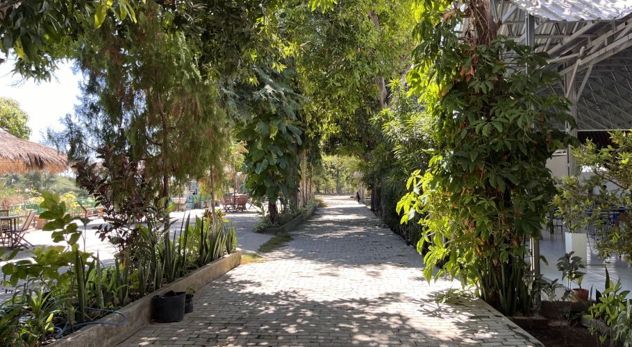 A paved pathway is lined with tall green trees and plants, leading towards a shaded area, with outdoor seating visible on the left and a building on the right.