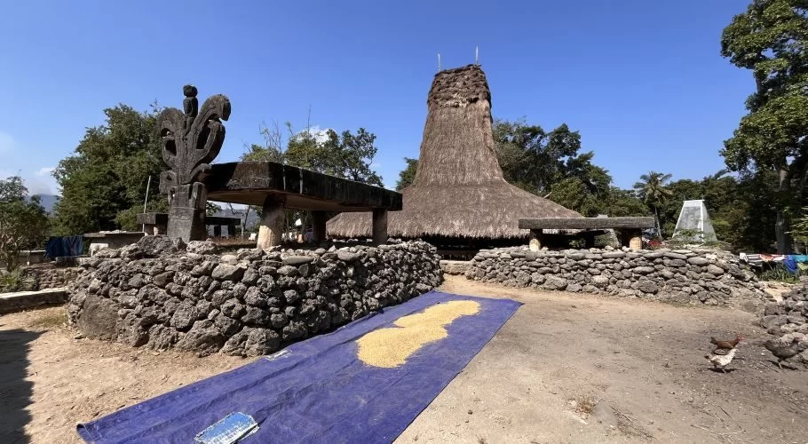 A traditional Sumba village features a tall thatched-roof house, ancient stone tombs, and a carved wooden statue under a clear blue sky, with grains drying on a blue tarp.