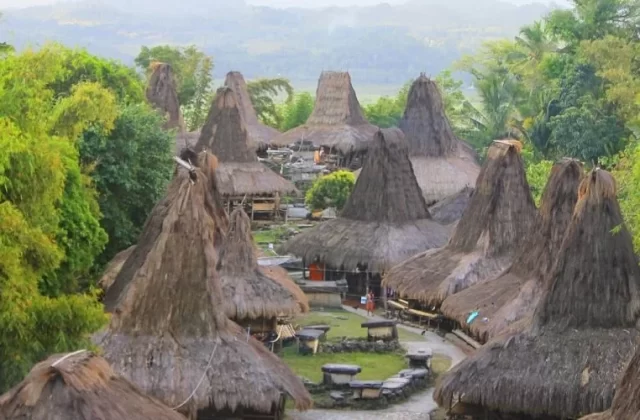 Prai Ijing traditional village in Sumba, Indonesia, shows many conical thatched-roof houses and stone megaliths amidst green trees.