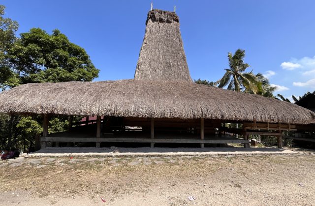 A traditional Sumba house with a distinctive tall, conical thatched roof and a wide lower thatched section stands under a clear blue sky.