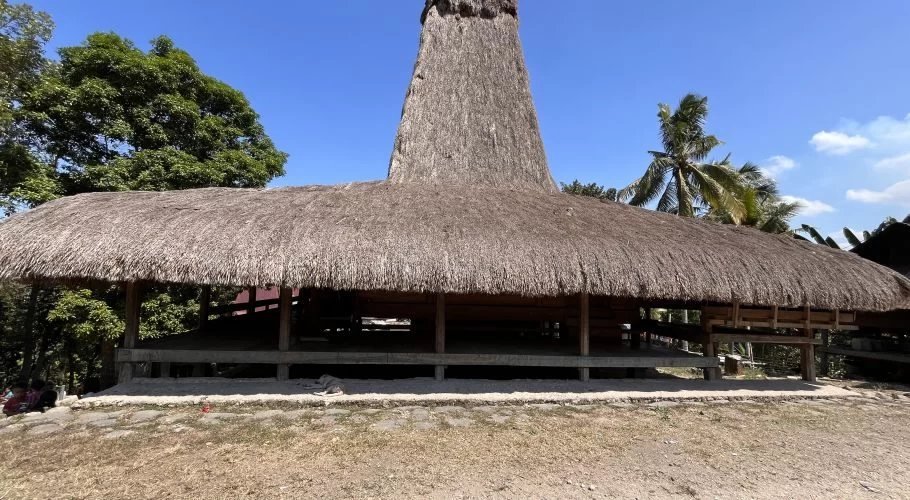 A traditional Sumba house with a distinctive tall, conical thatched roof and a wide lower thatched section stands under a clear blue sky.