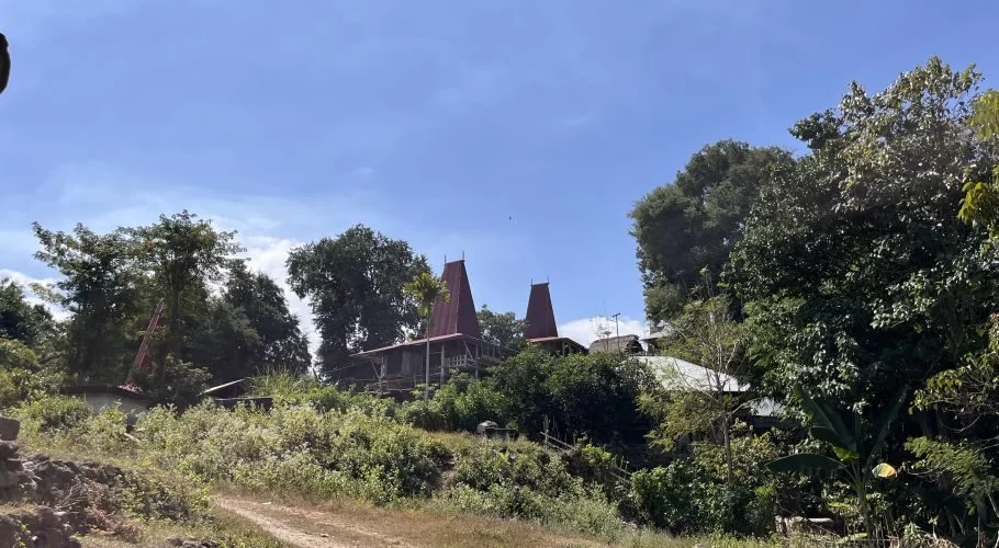 Traditional Sumba houses with distinctive tall, pointed red roofs are nestled on a green, tree-covered hillside under a clear blue sky.