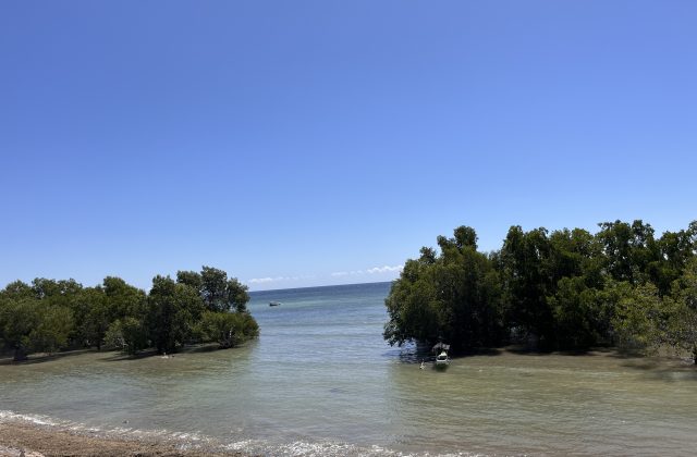Lush green mangrove trees line a calm, shallow waterway with two small boats, leading to a clear blue ocean under a bright sky.