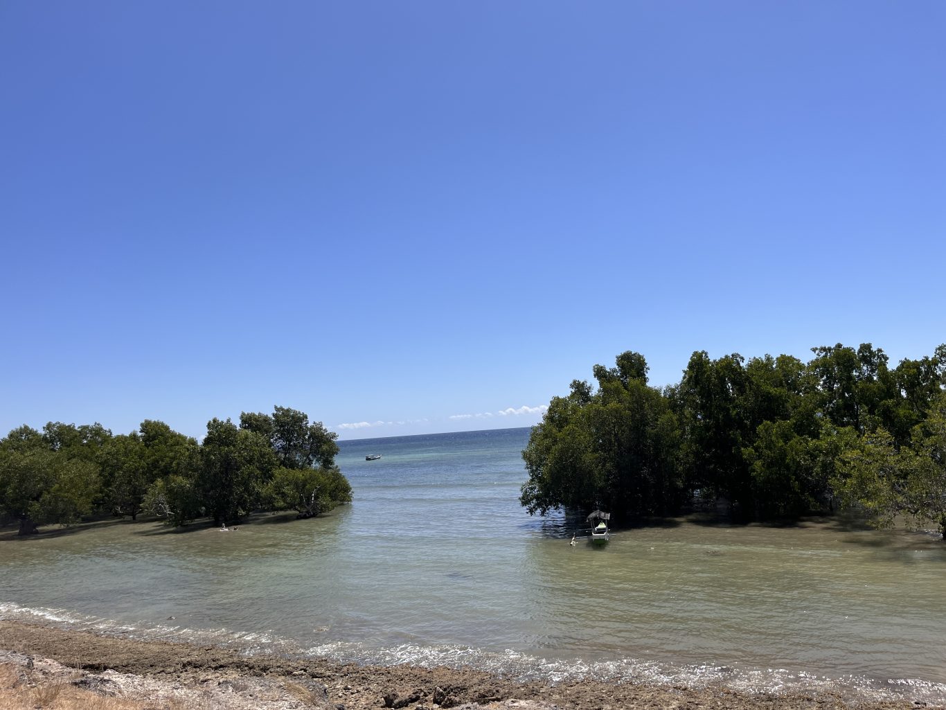 Lush green mangrove trees line a calm, shallow waterway with two small boats, leading to a clear blue ocean under a bright sky.