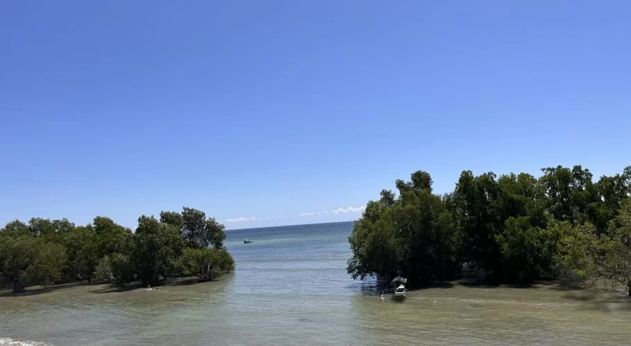 Lush green mangrove trees line a calm, shallow waterway with two small boats, leading to a clear blue ocean under a bright sky.